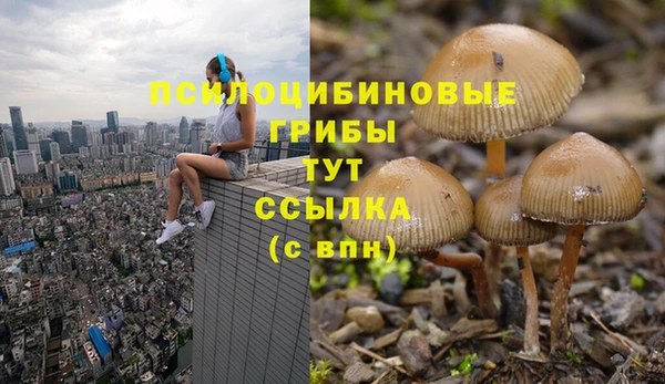 марихуана Заводоуковск