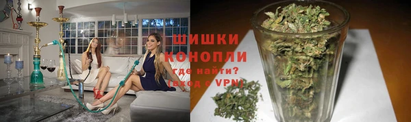 PSILOCYBIN Заволжье