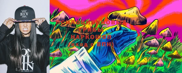 МДПВ Заволжск