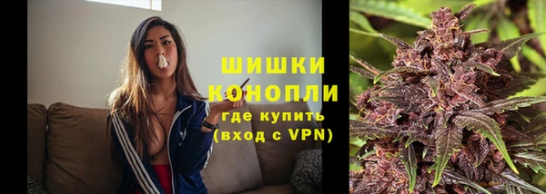 PSILOCYBIN Заволжье