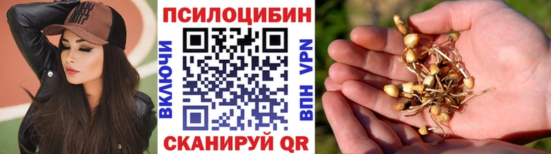 Галлюциногенные грибы Magic Shrooms  Купить  Кунгур 