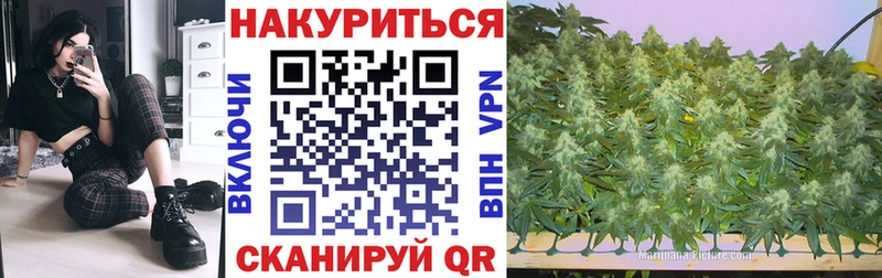 Купить Кунгур Каннабис план